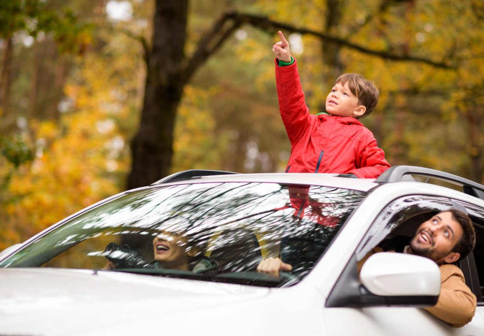 How to Prepare for a Fall Road Trip | Road Runner Auto Care